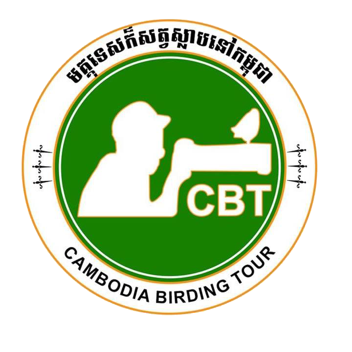Cambodia Birding Tour